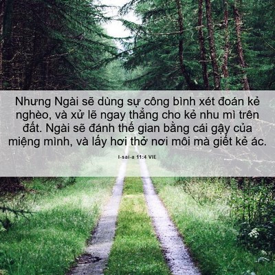 Picture 06 - I-sai-a 11:4 VIE - Nhưng Ngài sẽ dùng sự công bình xét - Bible Verse Picture