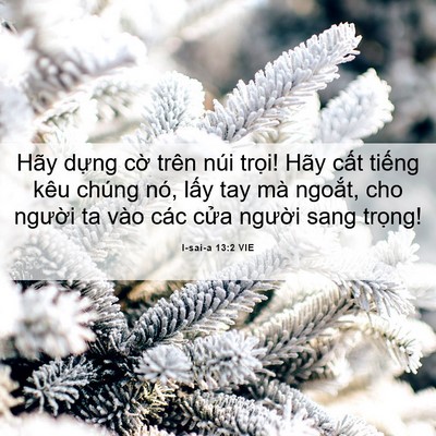 Picture 06 - I-sai-a 13:2 VIE - Hãy dựng cờ trên núi trọi! Hãy cất - Bible Verse Picture