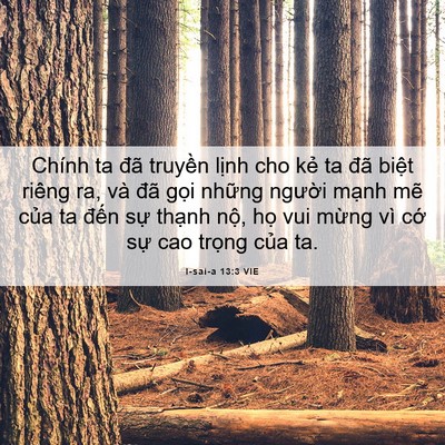 Picture 06 - I-sai-a 13:3 VIE - Chính ta đã truyền lịnh cho kẻ ta đã - Bible Verse Picture