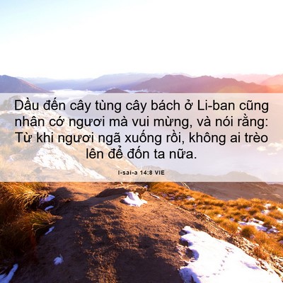 Picture 06 - I-sai-a 14:8 VIE - Dầu đến cây tùng cây bách ở Li-ban - Bible Verse Picture