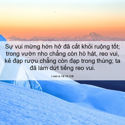 Picture 06 - I-sai-a 16:10 VIE - Sự vui mừng hớn hở đã cất khỏi - Bible Verse Picture