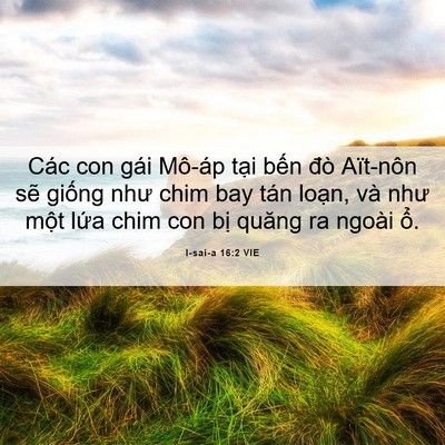 Picture 06 - I-sai-a 16:2 VIE - Các con gái Mô-áp tại bến đò Aït-nôn - Bible Verse Picture
