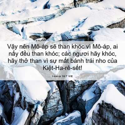 Picture 06 - I-sai-a 16:7 VIE - Vậy nên Mô-áp sẽ than khóc vì Mô-áp, - Bible Verse Picture