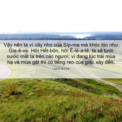 Picture 06 - I-sai-a 16:9 VIE - Vậy nên ta vì cây nho của Síp-ma mà - Bible Verse Picture