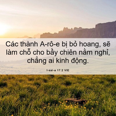 Picture 06 - I-sai-a 17:2 VIE - Các thành A-rô-e bị bỏ hoang, sẽ làm - Bible Verse Picture