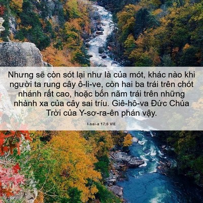 Picture 06 - I-sai-a 17:6 VIE - Nhưng sẽ còn sót lại như là của mót, - Bible Verse Picture