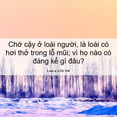 Picture 06 - I-sai-a 2:22 VIE - Chớ cậy ở loài người, là loài có - Bible Verse Picture