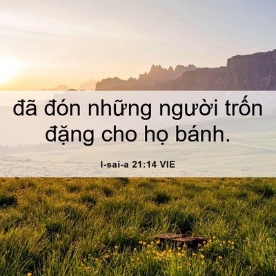 Picture 06 - I-sai-a 21:14 VIE - đã đón những người trốn đặng cho - Bible Verse Picture