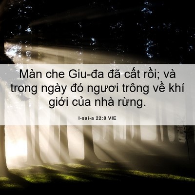 Picture 06 - I-sai-a 22:8 VIE - Màn che Giu-đa đã cất rồi; và trong - Bible Verse Picture
