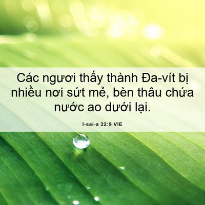 Picture 06 - I-sai-a 22:9 VIE - Các ngươi thấy thành Đa-vít bị nhiều - Bible Verse Picture