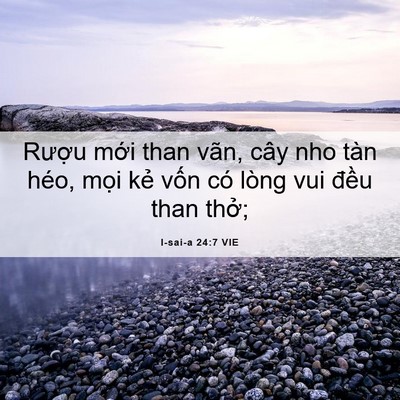 Picture 06 - I-sai-a 24:7 VIE - Rượu mới than vãn, cây nho tàn héo, - Bible Verse Picture