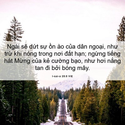 Picture 06 - I-sai-a 25:5 VIE - Ngài sẽ dứt sự ồn ào của dân - Bible Verse Picture