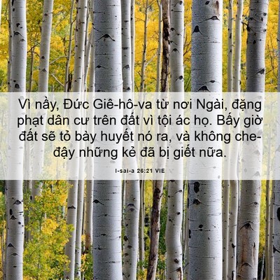 Picture 06 - I-sai-a 26:21 VIE - Vì nầy, Đức Giê-hô-va từ nơi Ngài, - Bible Verse Picture