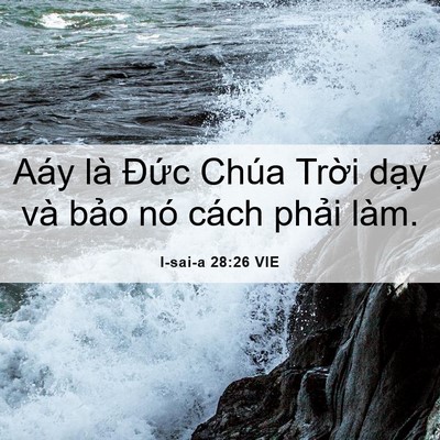 Picture 06 - I-sai-a 28:26 VIE - Aáy là Đức Chúa Trời dạy và bảo nó - Bible Verse Picture