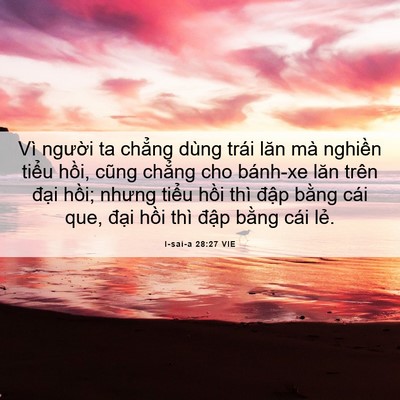 Picture 06 - I-sai-a 28:27 VIE - Vì người ta chẳng dùng trái lăn mà - Bible Verse Picture