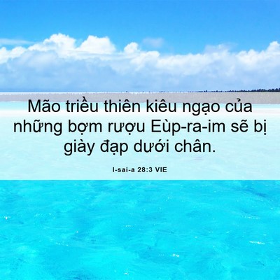 Picture 06 - I-sai-a 28:3 VIE - Mão triều thiên kiêu ngạo của những - Bible Verse Picture