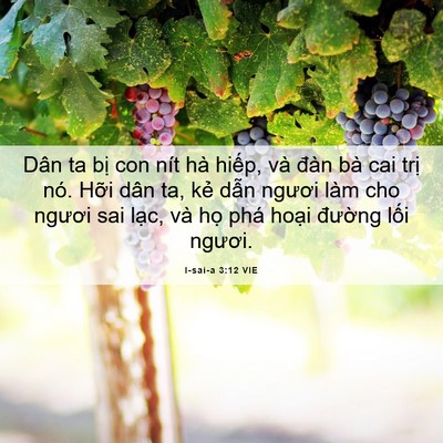 Picture 06 - I-sai-a 3:12 VIE - Dân ta bị con nít hà hiếp, và đàn bà - Bible Verse Picture