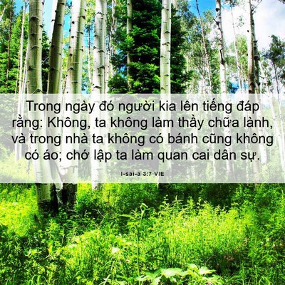 Picture 06 - I-sai-a 3:7 VIE - Trong ngày đó người kia lên tiếng đáp - Bible Verse Picture