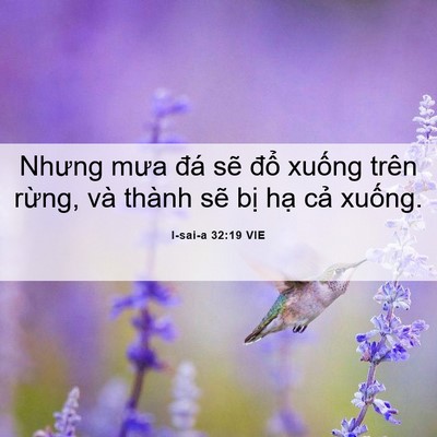 Picture 06 - I-sai-a 32:19 VIE - Nhưng mưa đá sẽ đổ xuống trên rừng, - Bible Verse Picture