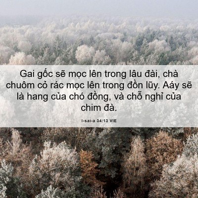 Picture 06 - I-sai-a 34:13 VIE - Gai gốc sẽ mọc lên trong lâu đài, chà - Bible Verse Picture