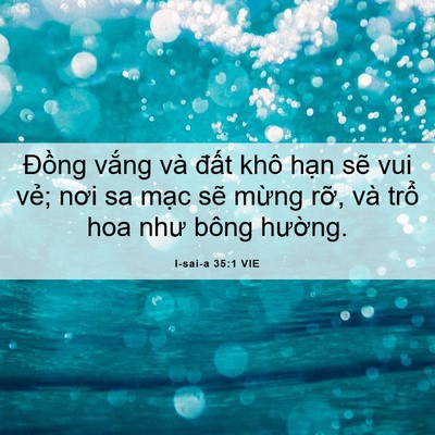 Picture 06 - I-sai-a 35:1 VIE - Đồng vắng và đất khô hạn sẽ vui - Bible Verse Picture