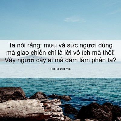 Picture 06 - I-sai-a 36:5 VIE - Ta nói rằng: mưu và sức ngươi dùng mà - Bible Verse Picture