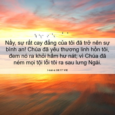 Picture 06 - I-sai-a 38:17 VIE - Nầy, sự rất cay đắng của tôi đã - Bible Verse Picture