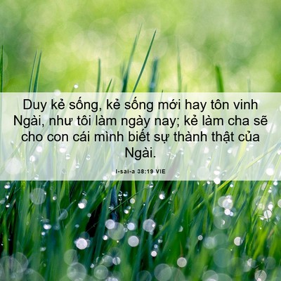 Picture 06 - I-sai-a 38:19 VIE - Duy kẻ sống, kẻ sống mới hay tôn vinh - Bible Verse Picture