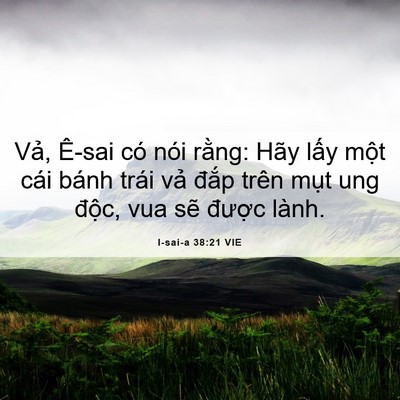 Picture 06 - I-sai-a 38:21 VIE - Vả, Ê-sai có nói rằng: Hãy lấy một - Bible Verse Picture
