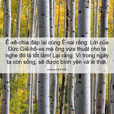 Picture 06 - I-sai-a 39:8 VIE - Ê-xê-chia đáp lại cùng Ê-sai rằng: - Bible Verse Picture