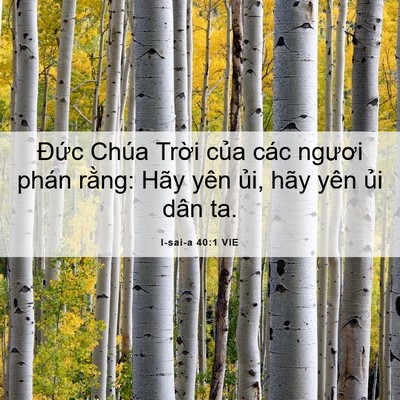 Picture 06 - I-sai-a 40:1 VIE - Đức Chúa Trời của các ngươi phán - Bible Verse Picture
