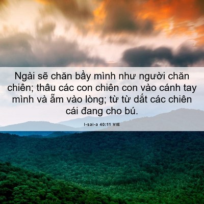 Picture 06 - I-sai-a 40:11 VIE - Ngài sẽ chăn bầy mình như người chăn - Bible Verse Picture