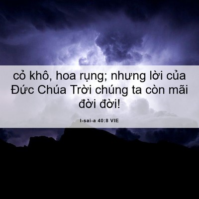 Picture 06 - I-sai-a 40:8 VIE - cỏ khô, hoa rụng; nhưng lời của Đức - Bible Verse Picture