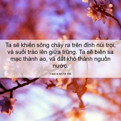 Picture 06 - I-sai-a 41:18 VIE - Ta sẽ khiến sông chảy ra trên đỉnh - Bible Verse Picture