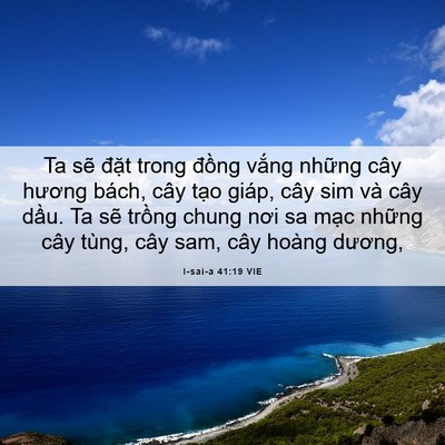 Picture 06 - I-sai-a 41:19 VIE - Ta sẽ đặt trong đồng vắng những cây - Bible Verse Picture