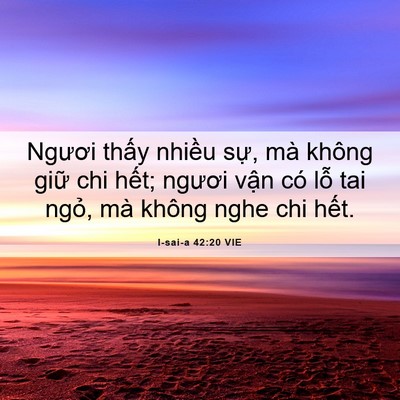 Picture 06 - I-sai-a 42:20 VIE - Ngươi thấy nhiều sự, mà không giữ chi - Bible Verse Picture