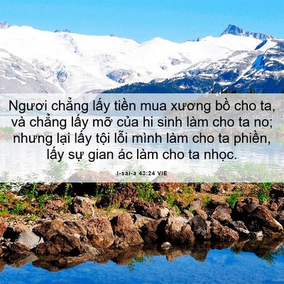 Picture 06 - I-sai-a 43:24 VIE - Ngươi chẳng lấy tiền mua xương bồ cho - Bible Verse Picture