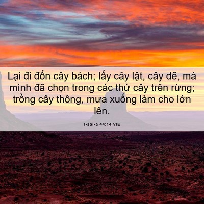 Picture 06 - I-sai-a 44:14 VIE - Lại đi đốn cây bách; lấy cây lật, - Bible Verse Picture