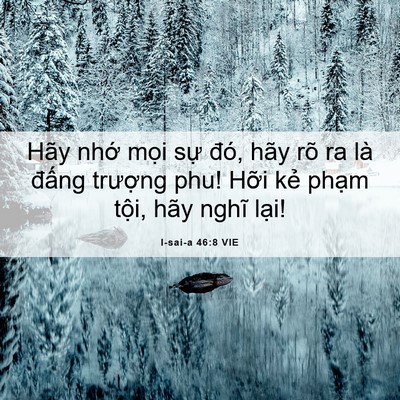 Picture 06 - I-sai-a 46:8 VIE - Hãy nhớ mọi sự đó, hãy rõ ra là - Bible Verse Picture