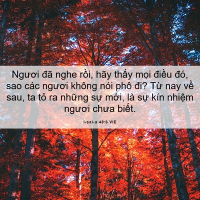 Picture 06 - I-sai-a 48:6 VIE - Ngươi đã nghe rồi, hãy thấy mọi - Bible Verse Picture