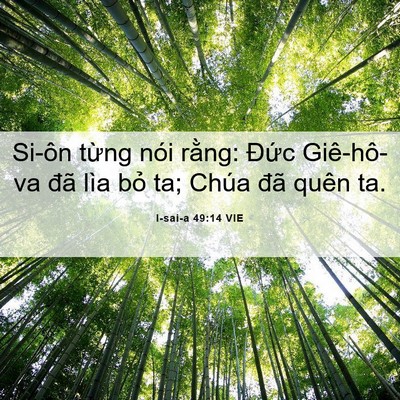 Picture 06 - I-sai-a 49:14 VIE - Si-ôn từng nói rằng: Đức Giê-hô-va - Bible Verse Picture