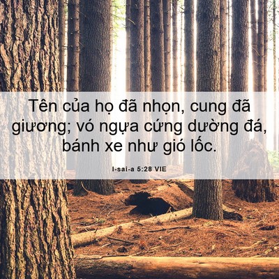 Picture 06 - I-sai-a 5:28 VIE - Tên của họ đã nhọn, cung đã giương; - Bible Verse Picture