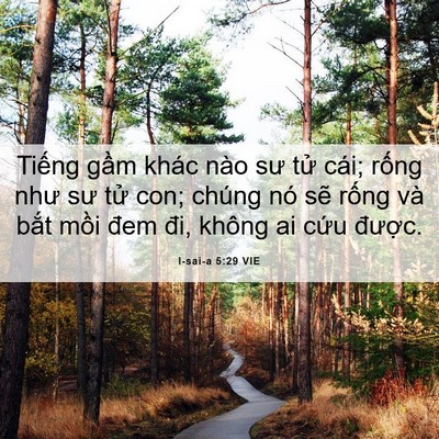 Picture 06 - I-sai-a 5:29 VIE - Tiếng gầm khác nào sư tử cái; rống - Bible Verse Picture