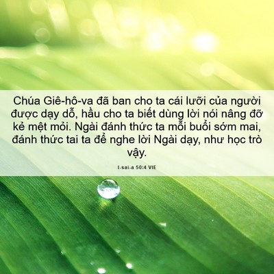 Picture 06 - I-sai-a 50:4 VIE - Chúa Giê-hô-va đã ban cho ta cái lưỡi - Bible Verse Picture