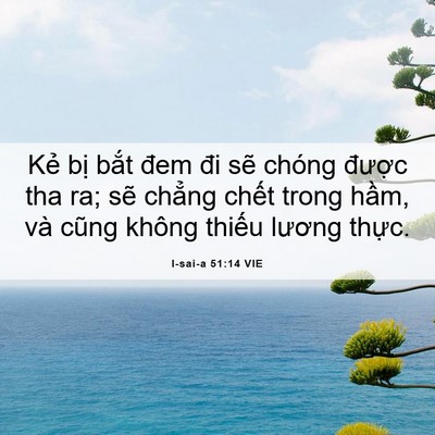 Picture 06 - I-sai-a 51:14 VIE - Kẻ bị bắt đem đi sẽ chóng được tha - Bible Verse Picture