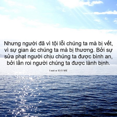 Picture 06 - I-sai-a 53:5 VIE - Nhưng người đã vì tội lỗi chúng ta - Bible Verse Picture