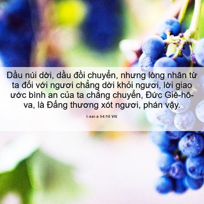 Picture 06 - I-sai-a 54:10 VIE - Dầu núi dời, dầu đồi chuyển, nhưng - Bible Verse Picture