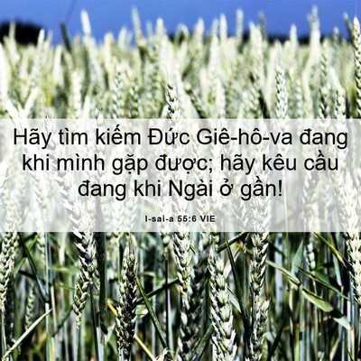 Picture 06 - I-sai-a 55:6 VIE - Hãy tìm kiếm Đức Giê-hô-va đang khi - Bible Verse Picture