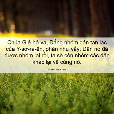 Picture 06 - I-sai-a 56:8 VIE - Chúa Giê-hô-va, Đấng nhóm dân tan lạc - Bible Verse Picture