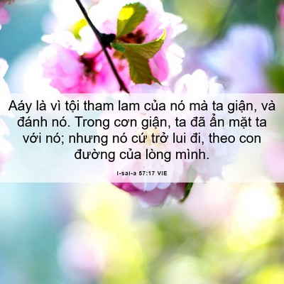 Picture 06 - I-sai-a 57:17 VIE - Aáy là vì tội tham lam của nó mà ta - Bible Verse Picture